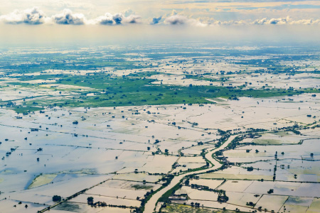 Flooded rice plantation in the Pacific coast region near Guayaquil, Ecuador, in 2017