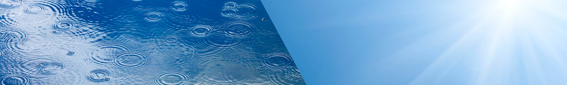 ECMWF Newsletter #184