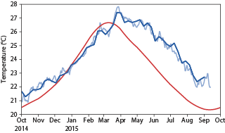 Evolution of sea-surface temperature in NINO1+2 region 2015