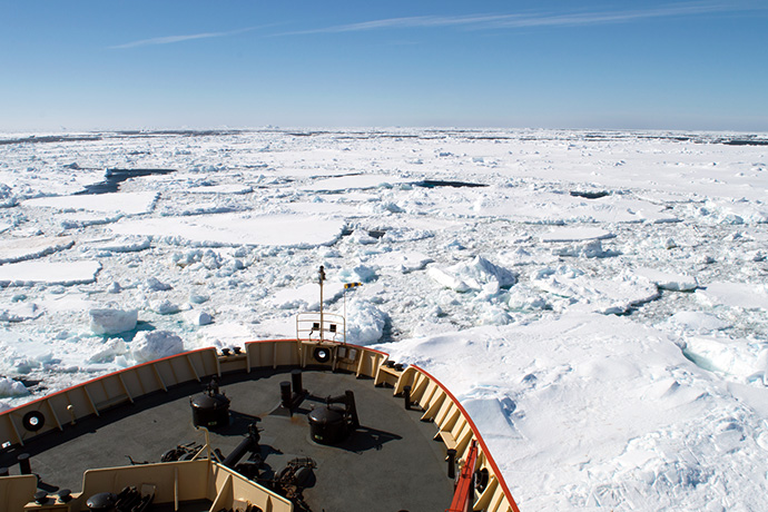 Sea ice Arctic sea ice