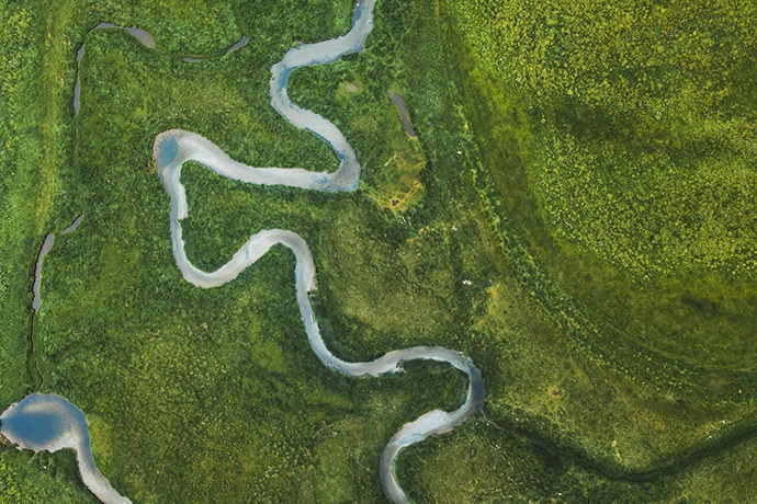 River in green lands River in green lands