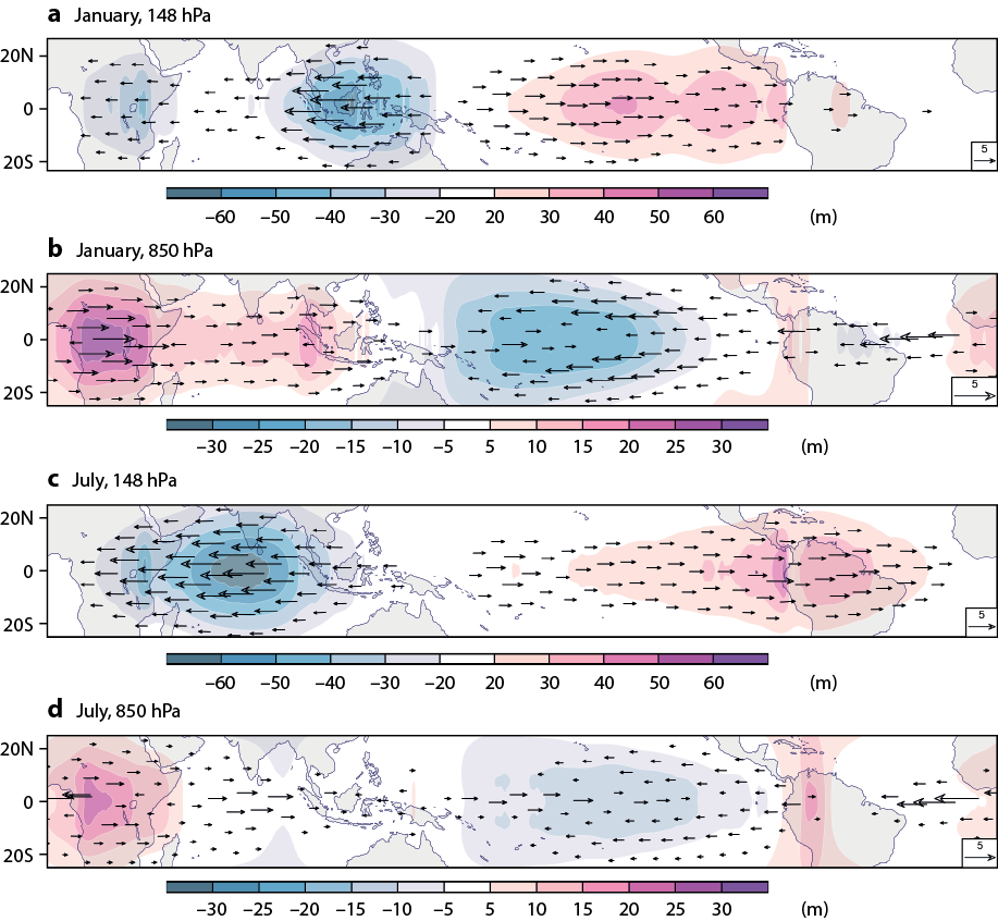 Kelvin wave winds (arrows) and geopotential height perturbations