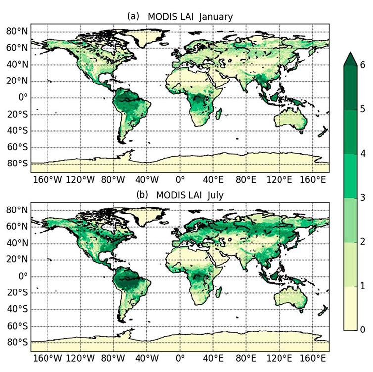 Vegetation-state map expressed as Leaf Area Index (m2/m2)