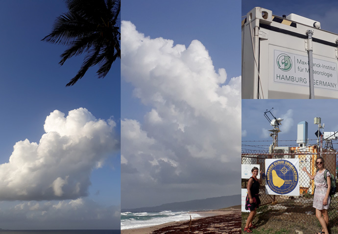 Wind shear and cumulus clouds