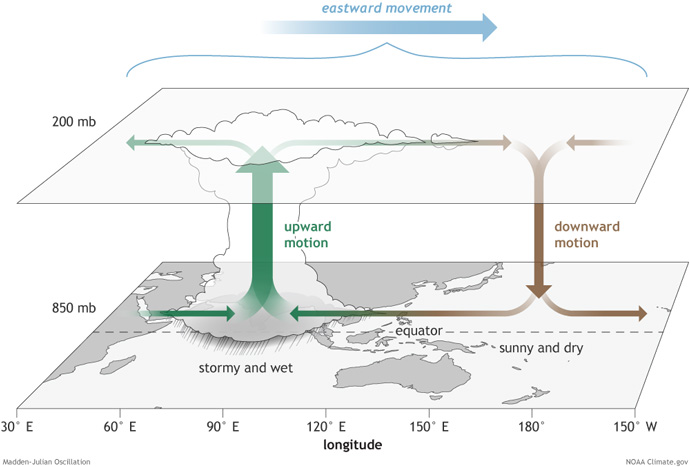 MJO diagram