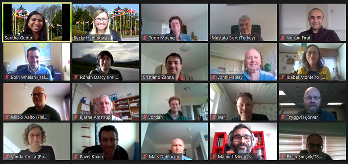 SAPP webinar 2021 participants.