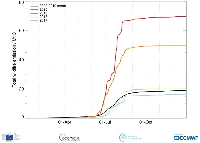 Wildfire carbon emissions for the Arctic Circle