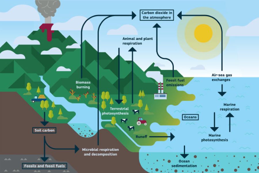 Sources of CO2 graphic
