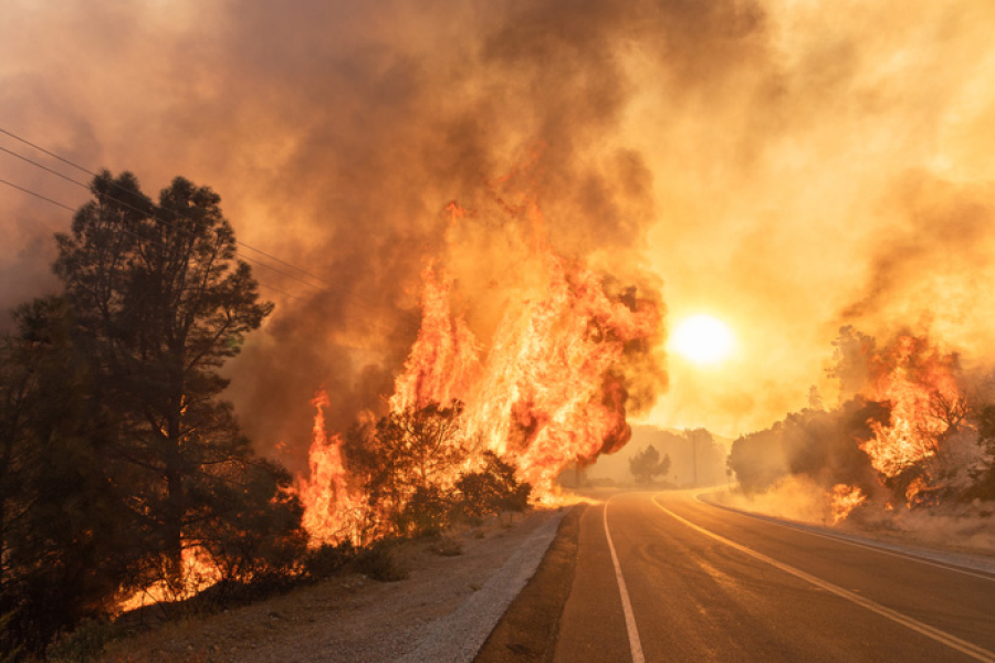 Extreme fires in LA either side of a road