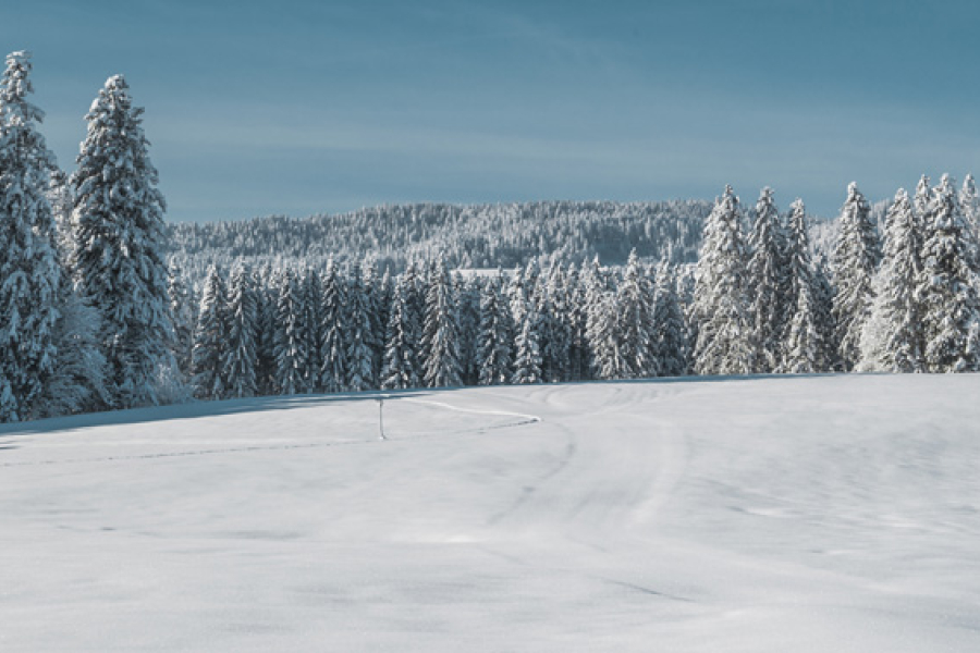 A very snowy landscape with a field and tress in the background all covered in snow. The sky above is clear blue