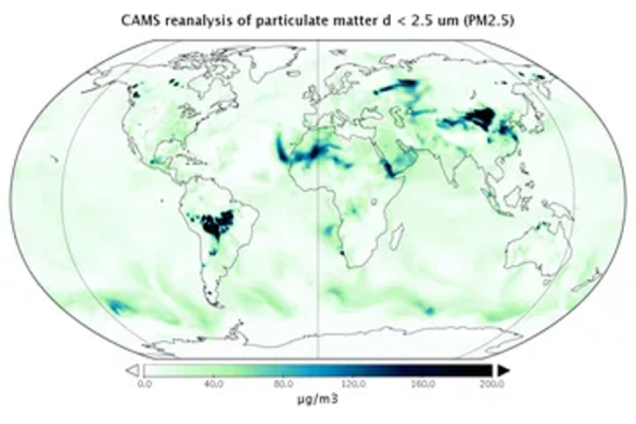 CAMS Global Reanalysis Practical