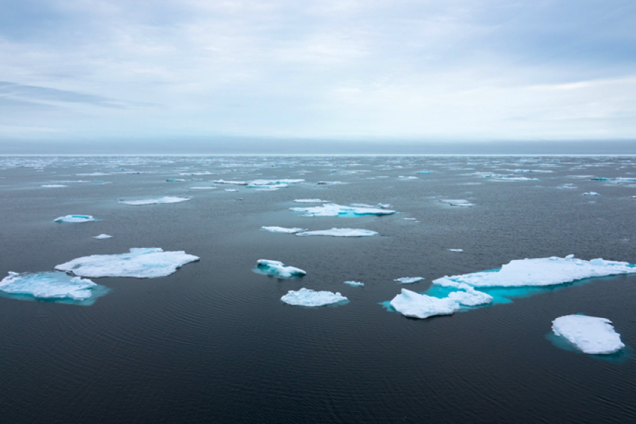 Small bits of sea ice floating in the ocean