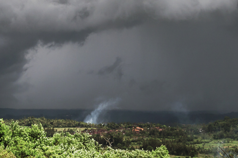 Panoramic landscape with dark storm clouds and heavy rainfall over a valley. Green vegetation fills the foreground, while a bare tree stands on the right, highlighting the contrast between lush forest and approaching severe weather.