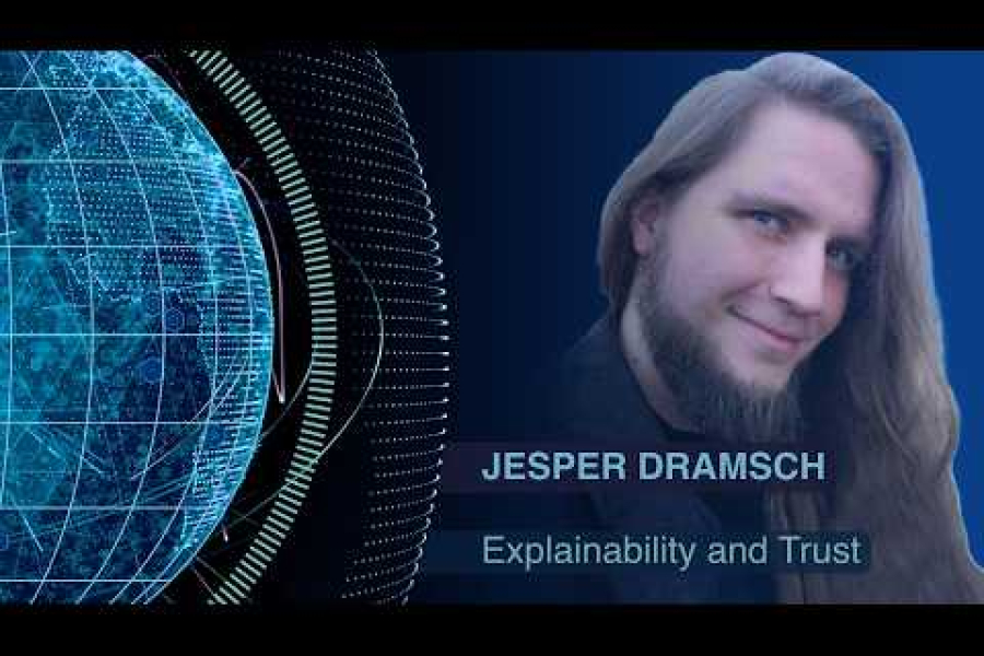 Explainability and Trust - Part 3: Explaining a model you cannot check