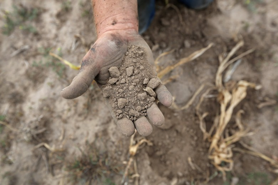 Hand holding dry soil