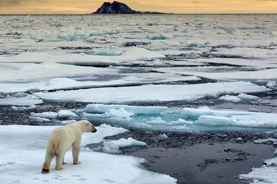 Polar landscape