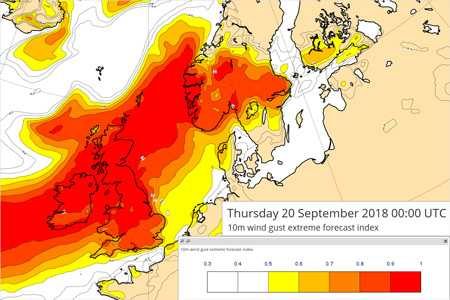 Storm Ali for Twitter Storm Ali for Twitter