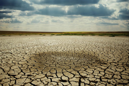 Cracked earth Cracked earth