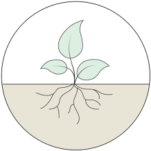 From pilot to flagship product