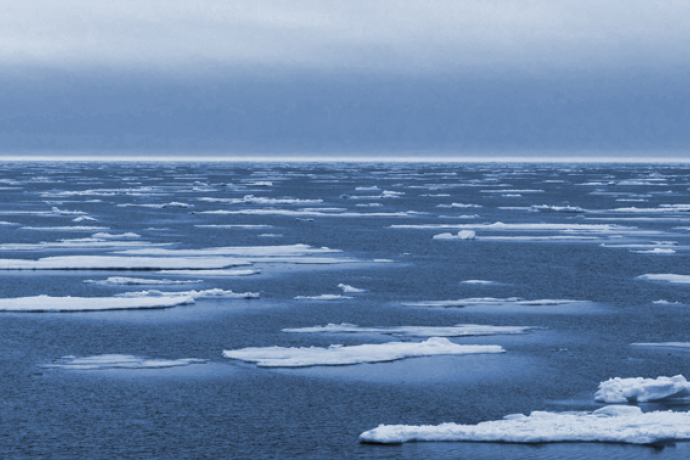 Scattered sea ice floating on dark Arctic Ocean waters beneath a cloudy, overcast sky.