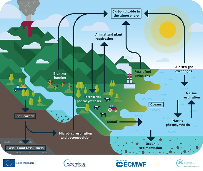 Sources of CO2 graphic