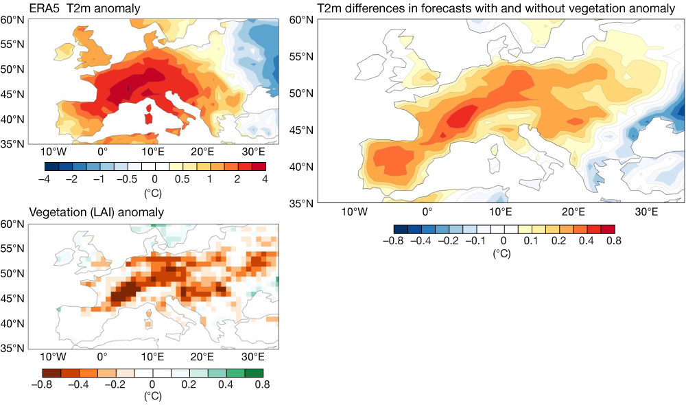 Impact of vegetation on a retrospective seasonal forecast of heat extremes.