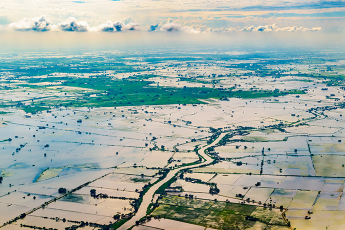 Flooded rice plantation in the Pacific coast region near Guayaquil, Ecuador, in 2017