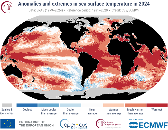 Anomalies in sea-surface temperature in 2024