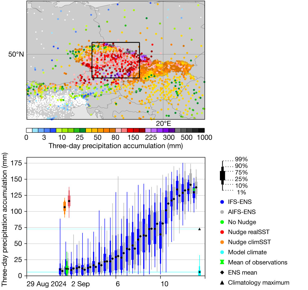 Precipitation observations and forecast.