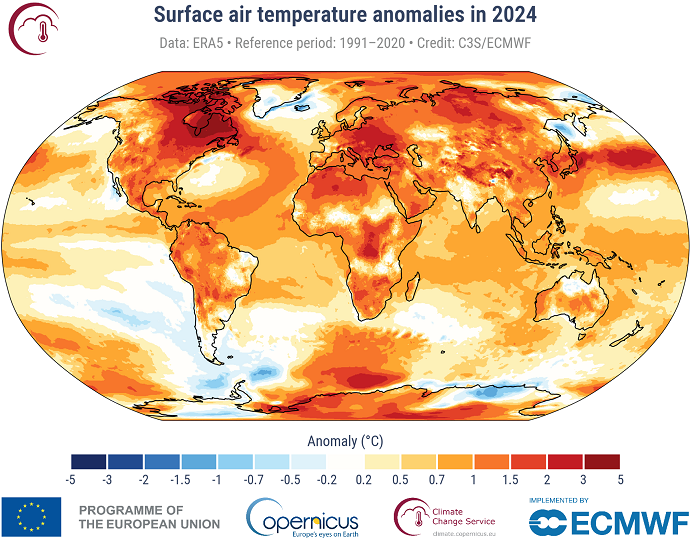 Surface air temperature anomalies 2024