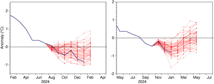 NINO3.4 forecasts from August and November 2024