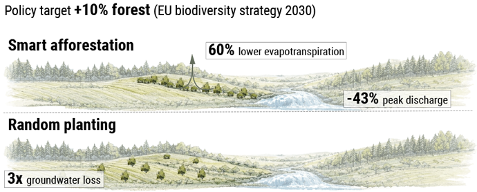 Illustration comparing smart afforestation and random planting: smart afforestation shows clustered trees reducing evapotranspiration by 60% and peak river discharge by 43%, while random planting causes three times more groundwater loss.