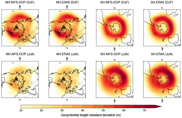 Eight polar map panels compare Northern Hemisphere (NH) and Southern Hemisphere (SH) winter (DJF) and summer (JJA) geopotential height standard deviation in AIFS-DOP and ERA5. Colours from pale yellow to dark red indicate increasing variability, with strongest values around Antarctica and Arctic regions.