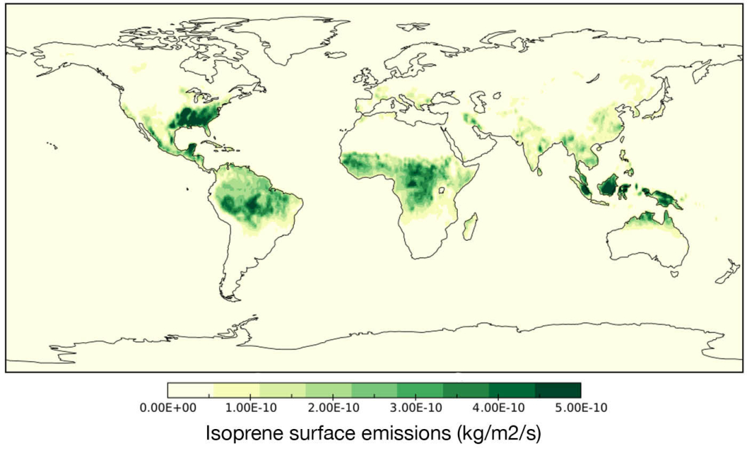Global biogenic isoprene emissions optimised with the IFS emission-inversion system