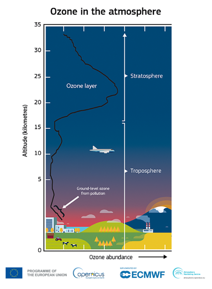 Diagram showing ozone abundance at different altitudes, highlighting the ozone layer in the stratosphere and ground-level ozone pollution in the troposphere above urban and rural landscapes.