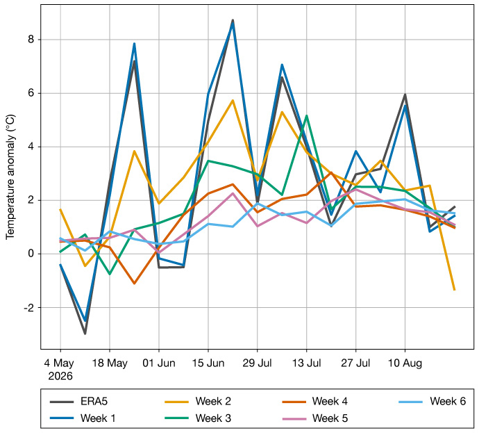Line graph comparing weekly temperature anomalies from ERA5 reanalysis and forecasts for weeks 1 to 6 between May and August 2026. All series show generally positive temperature anomalies, with peaks above 8°C in late June and early July and closer agreement among forecasts at longer lead times.