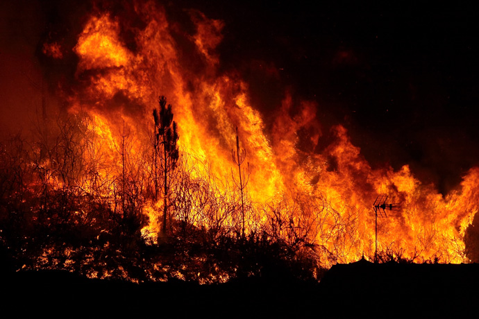 Wildfire Wildfire